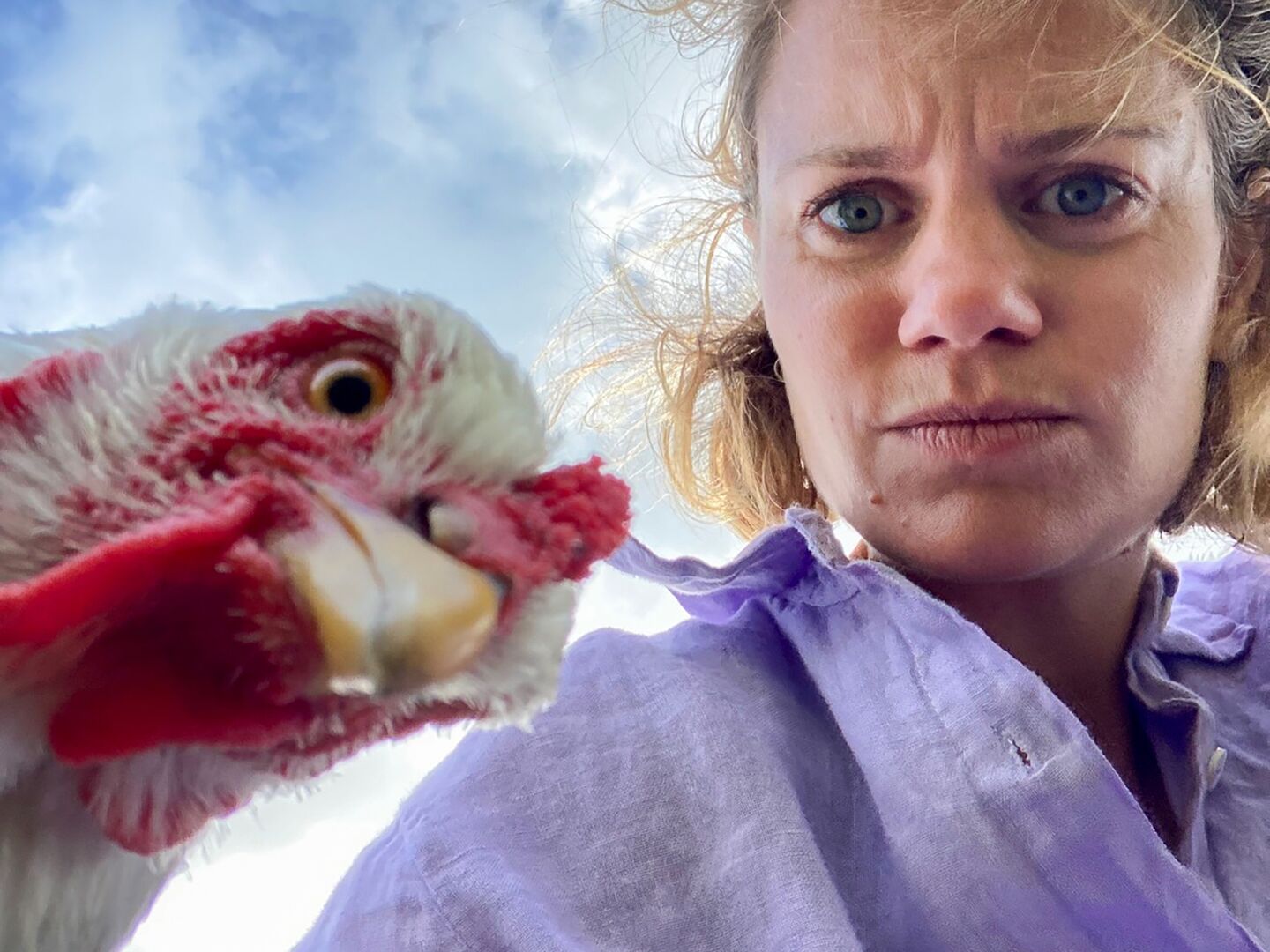 Chicks in Dialogue - Lindertje Mans / Firma Mes