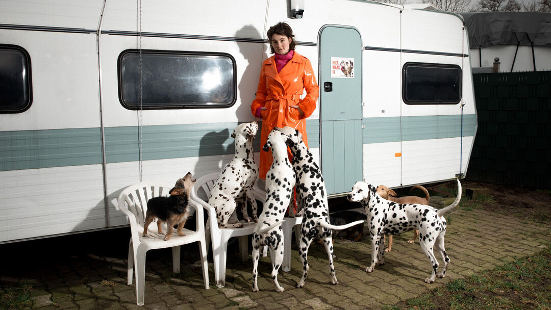 De Grootste Hondenshow ter Wereld in Nederland (14+)