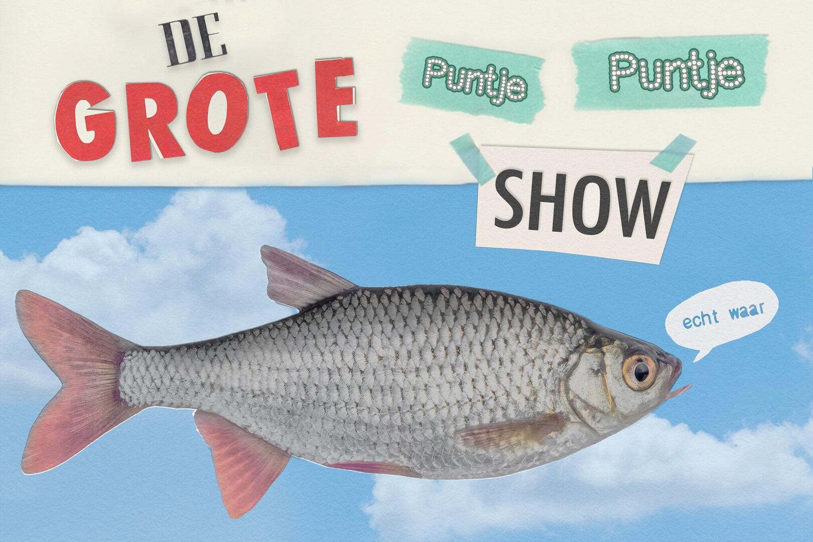 De Grote Puntje Puntje Show 7+