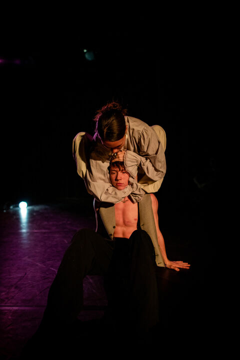 Fragmenten van Fields of Empathy
