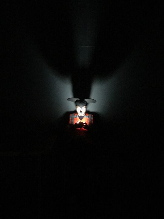MICKEY a MOUSE