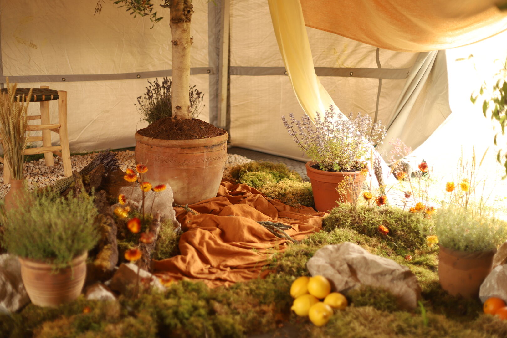 Photo 22-06-2025, 11 37 40