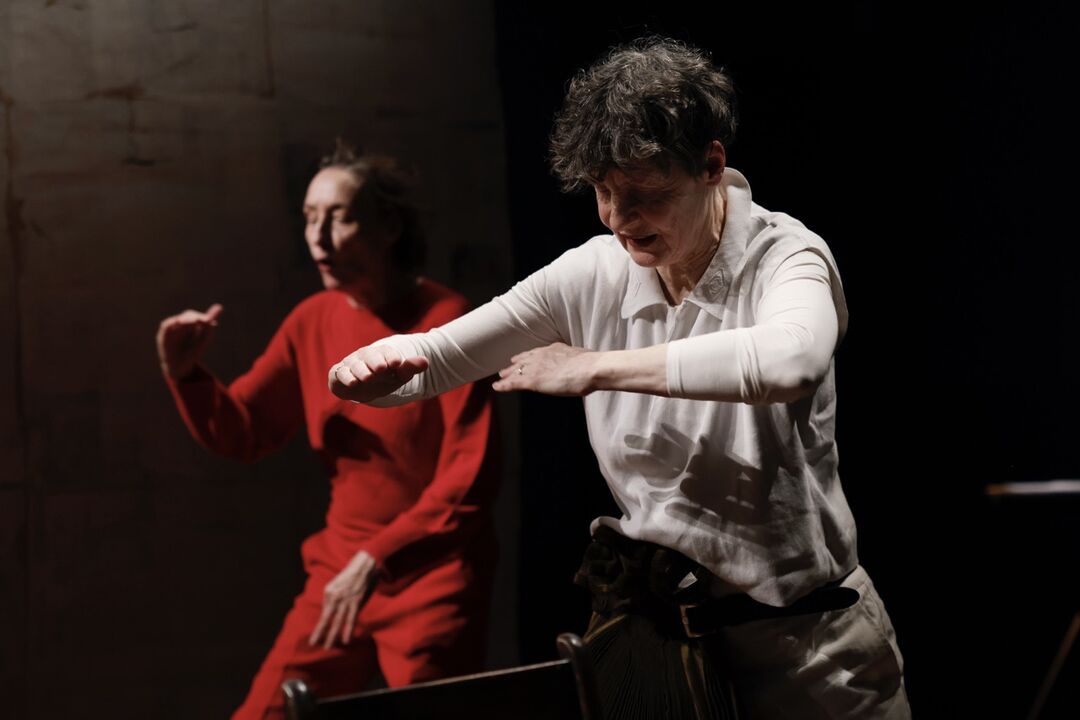 Weiblicher Akt 14: Woolf, Zadie en wij